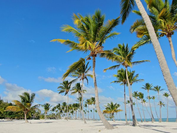 Hoe organiseer je een kampeertocht met vrienden?