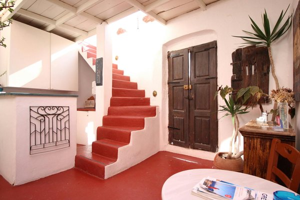 Wie pflegt man am besten die Fellpflege von Katzen?